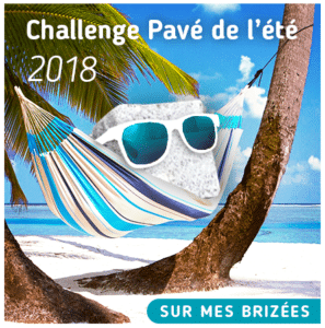 Logo Challenge Pavé de l'été